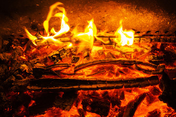 Wood burning with Orange and red fire flames in the fireplace