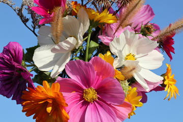 herbstlicher Blumenstrauß aus Wiesenblumen