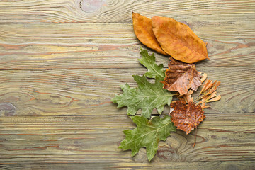 Different autumn leaves on wooden background