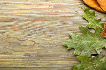 Different autumn leaves on wooden background