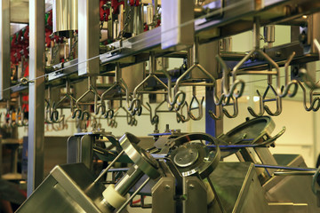 conveyor for cutting chickens