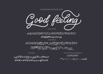 Hand drawn calligraphic vector monoline font. Distress signature letters. Modern script calligraphy type. ABC typography latin signature alphabet.