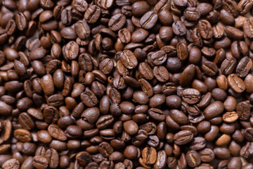 Fototapeta premium Coffee beans brown natural backgorund