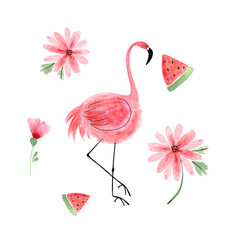 watercolor drawing pink flamingo with pink flowers and watermelon