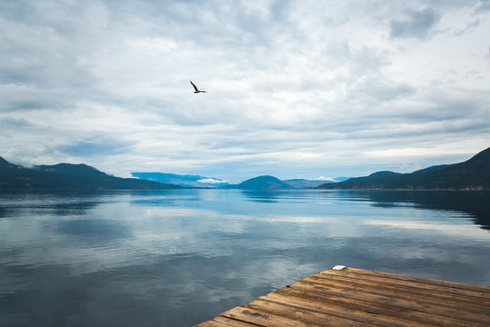 Moody landscape with dark clouds reflecting in calm lake with view of mountains and flying bird in sky