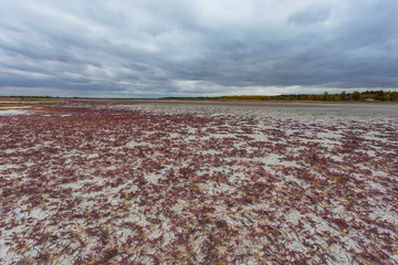dry saline prairie with pink grass under a dense cloudy sky, badland abandoned by water scene,...