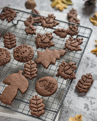autumn chocolate cookies with kids hand, pumpkin and yellow leaves