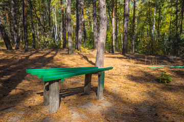 small green wooden bench in a forest, place for rest for the hiker
