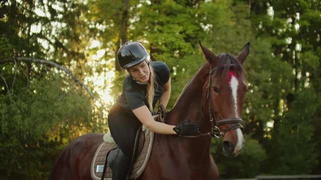 Touching feelings with a horse