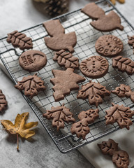 autumn chocolate cookies with kids hand, pumpkin and yellow leaves