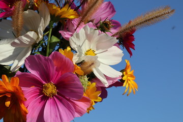 herbstlicher Blumenstrauß