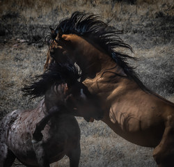 Left Jab