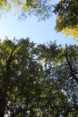 Autunno in arrivo - ottobre