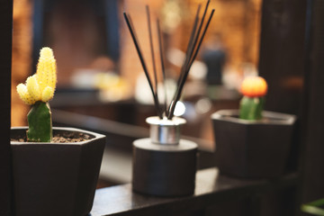 Blooming decorative cacti on a wooden shelf, next to an aroma stick. Selective focus, interior.