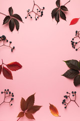 Fall and autumn flat lay frame with red leaves creative