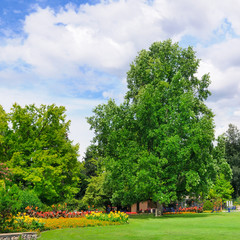 Fototapeta premium Summer park with beautiful flower beds and lawn.