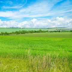 Obraz premium Landscape with hilly field and blue sky.