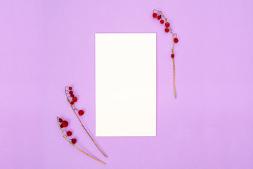 White blank paper. Pattern of dried red berries on a branch on a pink background. Autumn, fall concept. Flat lay, top view, copy space, square.