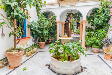 Courtyard of a traditional house in Cordoba, Spain