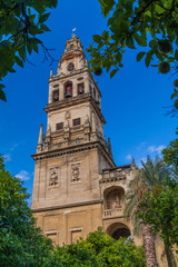 Fototapeta na wymiar Tower of Mosque–Cathedral (Mezquita-Catedral) of Cordoba, Spain