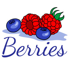 doodle sketch of berries, illustration of raspberries and blueberries on a white background