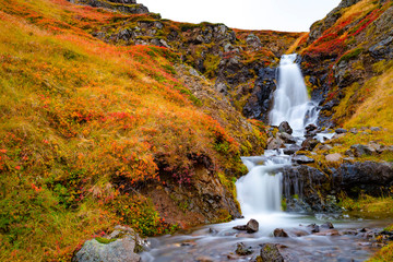 Wasserfall im Isländischem Herbst