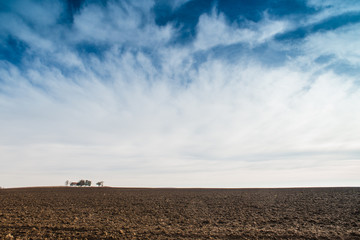 field and blue sky