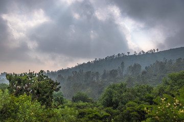 Shine the clouds
