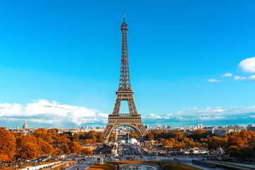Fototapeta na wymiar Eiffel Tower, symbol of Paris
