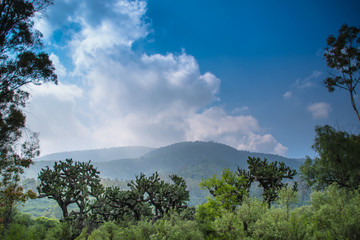 Obraz premium The hill 2