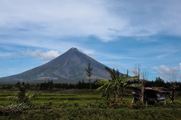 Fototapeta premium Volcano in the background with tree and hut in front