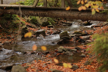 Autumn, red leaves, forest and waterfall. River in the fall.