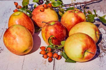 red juicy ripe apples on an old wooden table against the background of autumn nature in the garden, soft selective focus