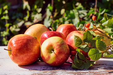 red juicy ripe apples on an old wooden table against the background of autumn nature in the garden, soft selective focus