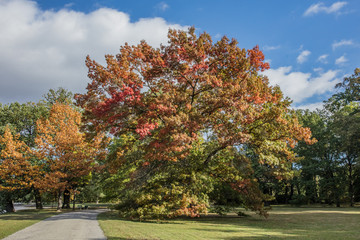 Naklejka premium herbst