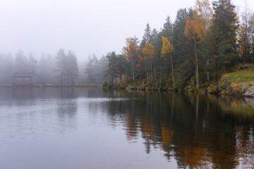 Foggy morning with reflection of trees in lake