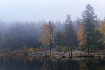 Fototapeta na wymiar Foggy morning with reflection of trees in lake