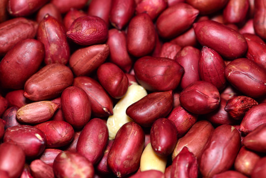 Peanuts details closeup background