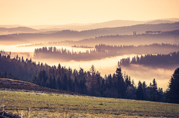 Morning in the misty Carpathian mountains, spring, Poland
