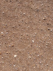Vacation concept. Wet sand with shells texture background