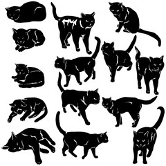 Naklejka premium Set of domestic cats