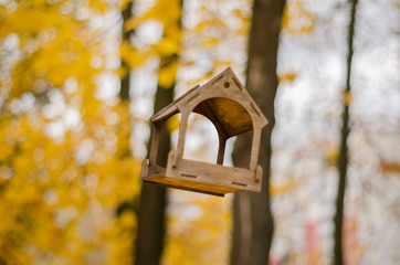 bird house