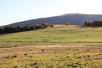 Obraz premium Le Hohneck et les Trois-Fours dans les Vosges