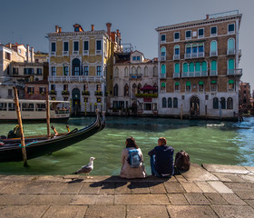 Fototapeta na wymiar On the bank of the canal. Venice scene with a seagull. Italy.