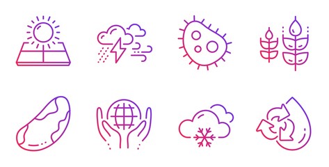 Organic tested, Gluten free and Bad weather line icons set. Snow weather, Bacteria and Brazil nut signs. Sun energy, Recycle water symbols. Safe nature, Bio ingredients. Nature set. Vector