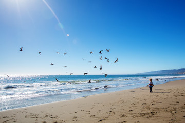 Happy and free boy on the beach with seagulls