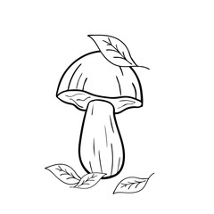 Line drawing mushroom with leaves. Good well for coloring book pages.