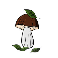 Colorful mushroom with leaves on white background.