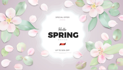 Soft color spring pastel background with spring flowers and leaves