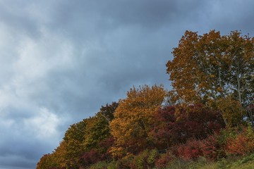 Gorgeous autumn colorful nature landscape view.  Beautiful colorful nature backgrounds.